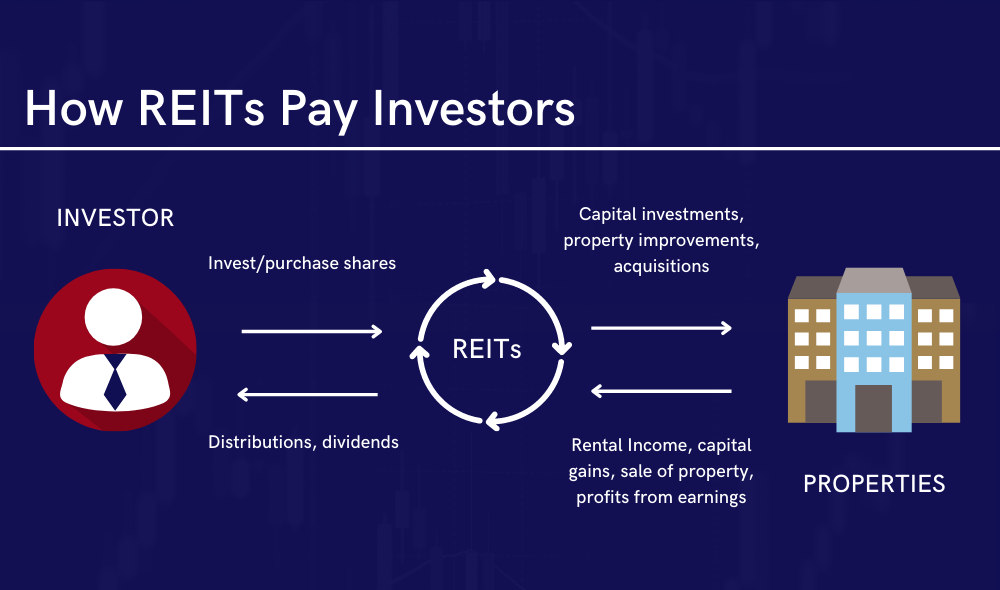 How REITs pay investors